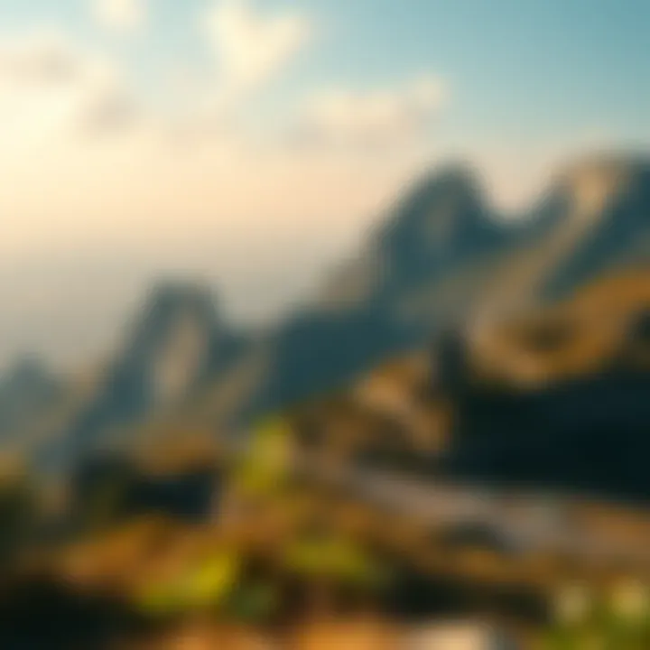 Magnificent Current Landscape of Cryptocurrency Investments