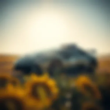 Magnificent Exploring eToro Group Limited: A Comprehensive Overview Magnificent Exploring eToro Group Limited: A Comprehensive Overview