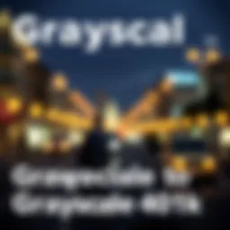 A Comprehensive Examination of Grayscale 401k: Implications and Insights Introduction