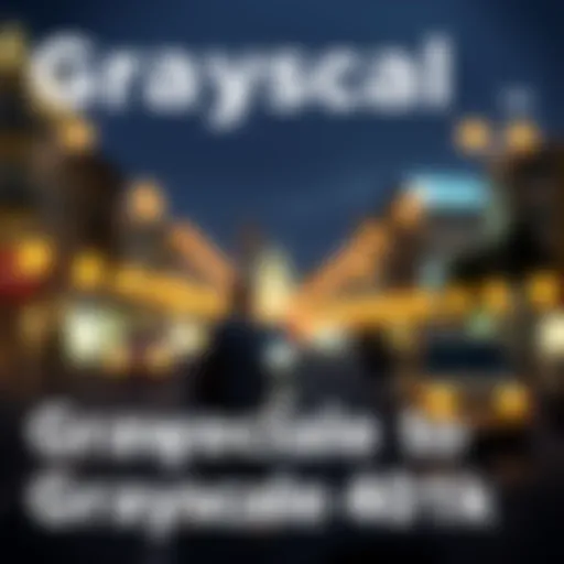 A Comprehensive Examination of Grayscale 401k: Implications and Insights Introduction