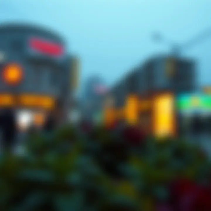 The Significance of Digital Provenance in NFTs Concept of digital provenance in the NFT space