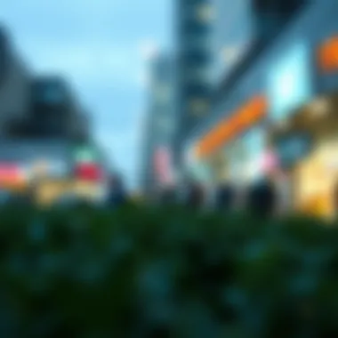 Illustration of potential risks in social media investments