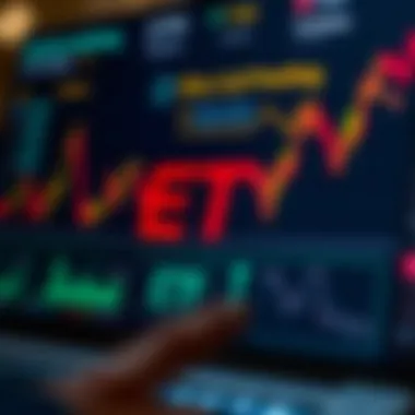 Exploring the Variety of ETF Types A graphical depiction of different types of ETFs available to investors