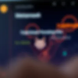 Metamask Wallet Overview