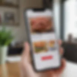 Illustration showing the interface of the Bacon Wallet app