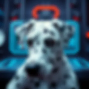 Dalmatian Wallet Interface Overview Visual representation of the Dalmatian wallet interface