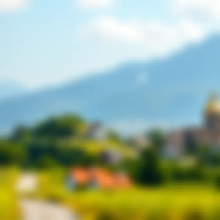 An infographic depicting the economic impacts of virtual land investment