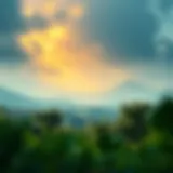 Visual representation of cryptocurrency trading