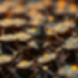 Conceptual representation of Ethereum blockchain technology
