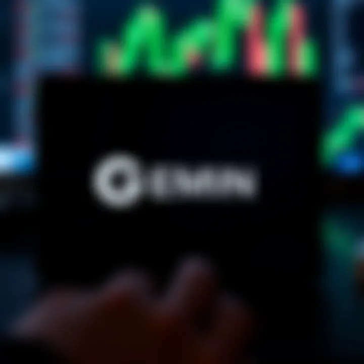 Gemini Exchange logo on a digital device