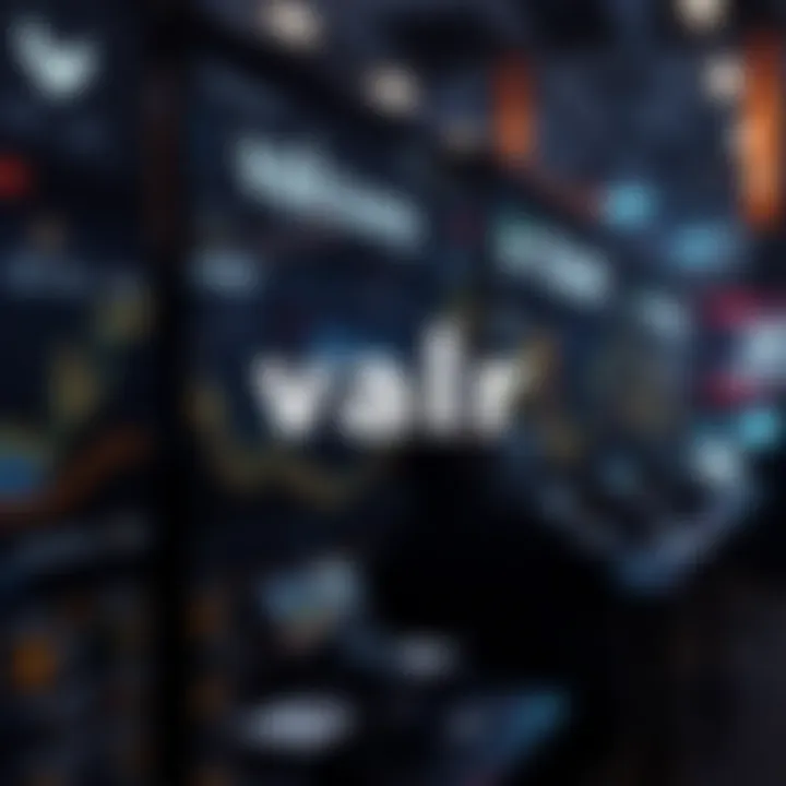 Influence of Valr on Investor Strategies Valr Exchange Impact on Investors